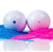 WSNDM Gender Reveal Golfball Mit Pulver, Gender Reveal Party Spiele, Enthält Enthält Zwei Kugelhülsen, Explodiert Blau Oder Rosa Pulver Für Jungen Oder Mädchen Überraschung Geschlecht Verkünden