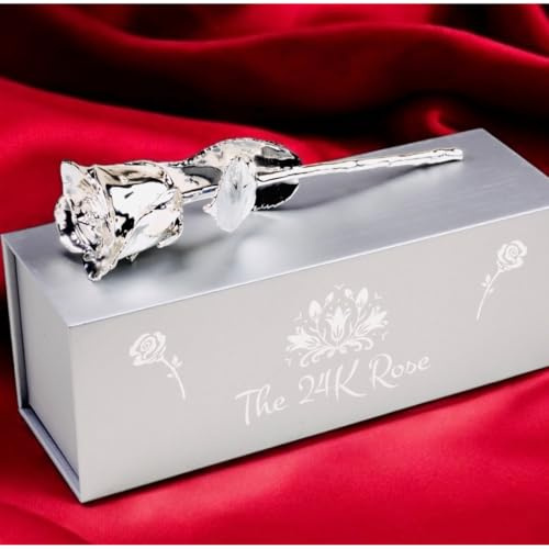 The24kRose, 100% echte Rose getaucht in Silber, Vatertag, 25. Hochzeitstag, Abschluss, Geburtstag, Babyparty, Antrag, Valentinstag, für sie, ihn