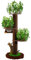 Samtkönig Kratzbaum Natur, Kratzbaum groß, Katzenkratzbaum XXL, Naturkratzbaum groß & stabil mit Blättern & Dicker Stamm, Kratzbaum Grosse Katzen stabil, Kratzbaum grün, Cat Tree, Natural Paradise