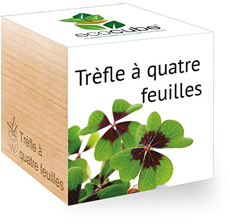 Feel Green Ecocube Trèfle À Quatre Feuilles, Idée Cadeau (100% Ecologique), Grow-Your-Own/Kit Prêt-à-Pousser, Plantes Dans Des Cubes En Bois 7.5cm, Produit En Autriche