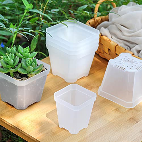 FIYSON 6pcs Clear Plastic Pot Square Nursery Pots succulent planters Pots with Drainage Holes Clear Orchid Pots plastic flower plant Planter Container for Indoor Outdoor Garden Balcony,7x7x8cm (Small)