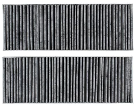 LUTH Premium Profi Parts Kohlefilter Set kompatibel mit Bora Bakfs 340x123mm für Kochfeld Mit Dunstabzug 2stk