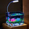 Aptliton Aquarium Fish Tank, Transparent Aquarium Tank With Clip On Lamp, Small Desktop Fish Tank Kit Decorative for Betta Fish, Shrimp, Goldfish On Living Room Office(15x11x13 cm)