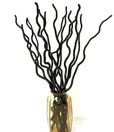 DongArts 15 Stück getrocknete, gekräuselte Weidenzweige, 58,4 cm, natürliche Trockenpflanzen, dekorative Zweige zum Basteln, Vasen, Hochzeit, Heimdekoration, ohne 3 Mini-Kürbisse