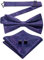JEMYGINS Herren Fliege mit Cashewblütendesign Retro-Design mit Manschettenknöpfen und Einstecktuch,Traubenblau, tiefes Violett