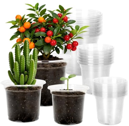 KINGLAKE 15 Stück Anzuchttöpfe Pflanztopf Durchsichtig, 10/12.7/16.5cm Blumentöpfe Anzuchttopf Plastik, Pflanztöpfe Orchideentopf Transparent Klein, Töpfe Untertopf für Pflanzen Orchideen