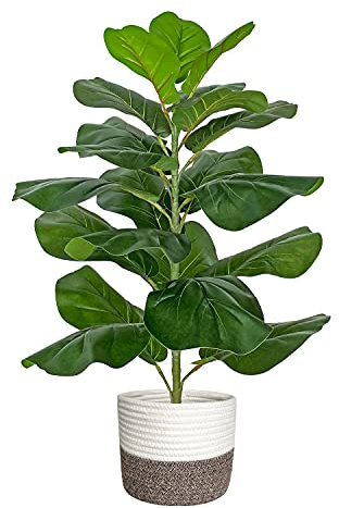 BESAMENATURE Figuier Artificiel en Forme de Feuille de Violon/Faux ficus lyrata pour décoration de Maison ou de Bureau, 77,5 cm de Haut, avec Panier en Corde de Coton
