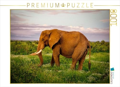 CALVENDO Puzzle Elefant in der Savanne | 1000 Teile Lege-Größe 64 x 48 cm Foto-Puzzle für glückliche Stunden