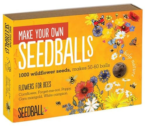 Seedball Seed Bomb Activity Kit with wildflower seeds. Makes up to 60 Balls