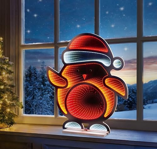 Premier - Robin Infinity Mirror - 60cm