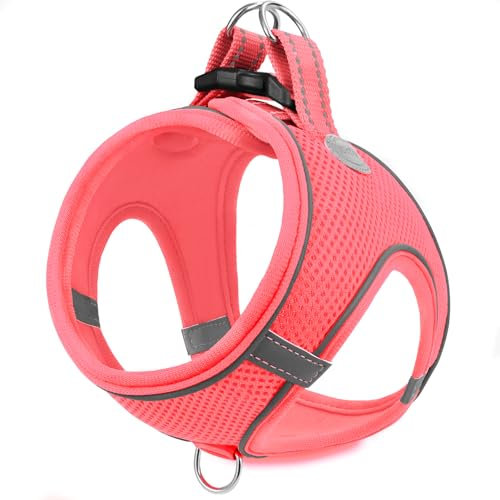Joytale Hundegeschirr, Reflektierend Weich Gepolstert Hunde Geschirr, Air-Mesh Atmungsaktiv Brustgeschirr für Kleine Mittelgroße Hunde, M, Pink