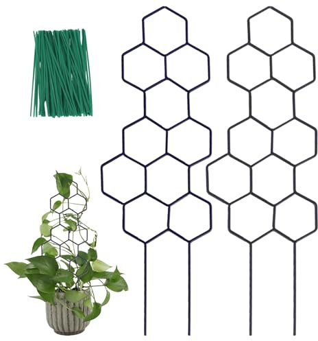 WellSign Kleines Rankgitter aus Holz für Topfpflanzen, 40.6 cm, Rankgitter für Kletterpflanzen, Zimmerpflanzen, Topf mit feuchtigkeitsbeständiger Schicht, Wabenform für Efeu, Ranken, Blume, 2 Stück
