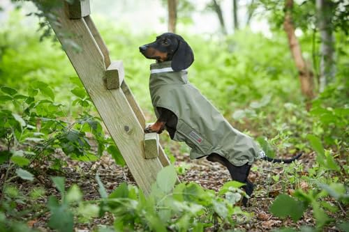 Wolters Outdoorjacke Modern Classic für Dackel, Größe:34 cm, Farbe:Olive