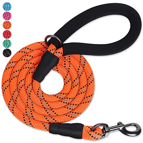 VIVAGLORY Laisse pour Chien en Corde Solide avec Poignée Rembourrée en Néoprène Doux et Fils Réfléchissants, Laisse de 180CM pour Entraînement et Promenade Chiens Moyens Grands, Orange