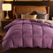 Winterdecke 135x200-Duvet 240 X 220 cm Quilt-GäNsedaunen Winter Steppdecke TröSter Decke Bettdecke FüLlung Baumwolle Bezug Twin Single Queen Supper King Size