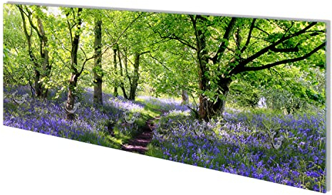 Wallario Wandgarderobe aus Glas in Größe 80 x 30 cm mit Memoboard-Funktion, Motiv: Blaues Hasenglöckchen im Wald | 5 Kleiderhaken zum Aufhängen von Jacken