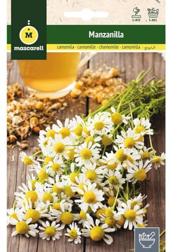 Mascarell Semillas, MANZANILLA, Semillas de Hierbas Aromáticas para Plantar, Crea tu Propio Huerto en Casa. 1 Gramo