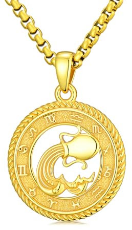 PARYFO 12 Zodiac Sings Halskette 925 Sterling Silber Wassermann Anhänger Sternzeichen Kette Wassermann Sternzeichen Halskette Vergoldet Astrologie Horoskop Anhänger Schmuck für Männer Frauen
