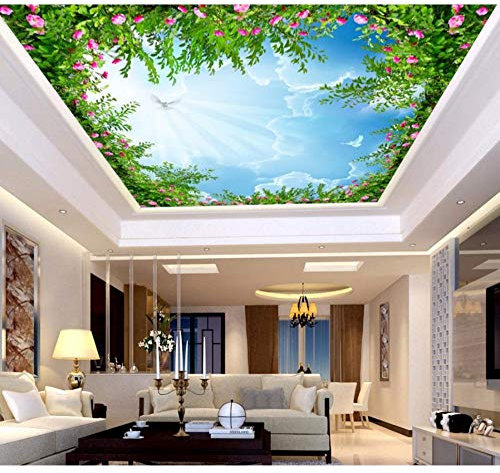 Rureng Blauer Himmel Und Weiße Wolken Himmel Deckenbild Für Wohnzimmer Schlafzimmer Nonwovens 3D Decke Landschaft Tapete-120X100Cm
