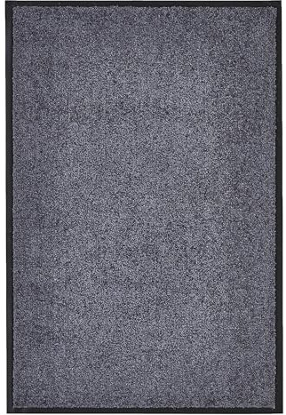 andiamo Premium-Fußmatte Wash & Clean - langlebige Schmutzfangmatte Hauseingang - als Fußmatte innen oder als Fußabtreter im überdachten Außenbereich - saugstarker Fußabstreifer 40 x 60 cm Anthrazit