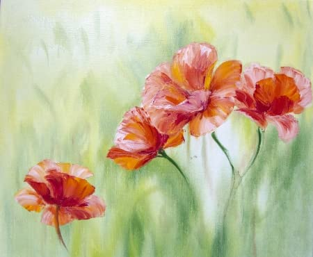 adrium Acryl-Bild 40 x 30 cm: Mohnblumen, Ölgemälde auf Leinwand(21995974)