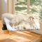 CATISM Hängebett für Katzen 360 ° drehendes Schreibtisch Katzenbett Katzenliege Katzenhängematte katzenkorb zum schlafen Katzen Hängematte Bett 35x35cm bis 20 kg
