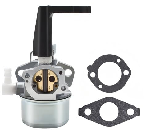 BenTsD Compatible avec le kit de carburateur 697422 696065 pour moteur de motoculteur 5HP 5.5HP 6HP 6.5HP 7HP 110402 110412 Carburateur Rototiller Troy Générateur Intek Moteur Pompe à eau