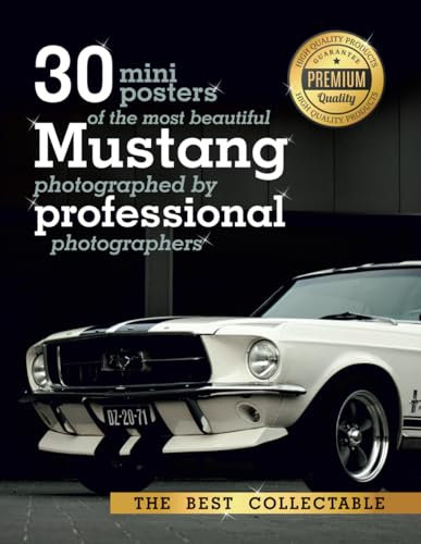 30 Mustang art photo: 8.5x11 size for your garage, home, office decor