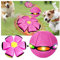 Jouet pour animal domestique - Soucoupe volante - Balle de soucoupe volante pour chien - Décompression - Stomp - Émission de lumière - Balle d'évent pour chiens et chats adultes - Rose rouge - 3