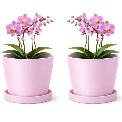 PECZEKO Vaso in plastica opaca, vaso decorativo per piante grandi e piccole, set da 2 pezzi con piedistalli. Vaso per erbe aromatiche, rosa, ø 16 cm