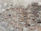 AG Design FTN XXL 1244 Old Vintage Wall Photo Wallpaper for Living, Bedroom, Dining Room, Kitchen, 360 x 270 cm, Multicoloured