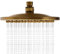 HomeLava Antike Messing Duschkopf Regendusche Runde 8 Zoll Kopfbrause Regendusche Bronze Retro-Stil