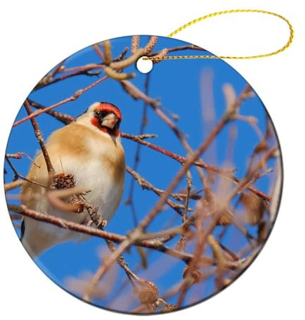 Hängende Ornamente, Stieglitz Vogel Zweige Fink Weihnachtsschmuck Mit Seil Weihnachtsdeko Für Weihnachtsbaum Weihnachtsbaum Deko Für Deko Weihnachtsbäume