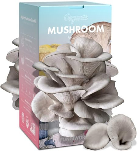 Kit de culture de pleurotes comestibles biologiques de 1,8 kg, fabriqué aux États-Unis, kit de culture de champignons double face en intérieur, récolte des champignons gastronomiques en 10 jours