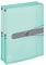 Herlitz Sammelbox, A4, PP-Folie, Gummizug mit Verschlussknopf, Pastell transparent (Minze / 2er Pack)