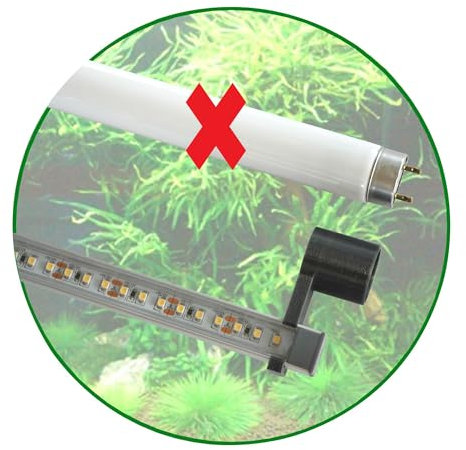 T8 LED Set 1: 600mm Gesellschaft Aquarium Beleuchtung (60cm) 8W, 778 Lumen