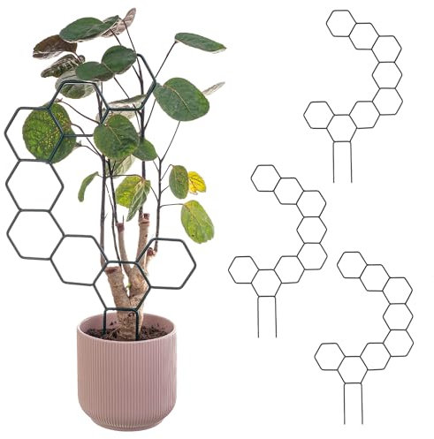 KADAX Rankhilfe aus Metall, 3 Stück, Rankgitter für Zimmerpflanzen und Topfpflanzen, Pflanzenstütze, Kletterhilfe für Pflanzen, Blumenstütze (Modell 8)