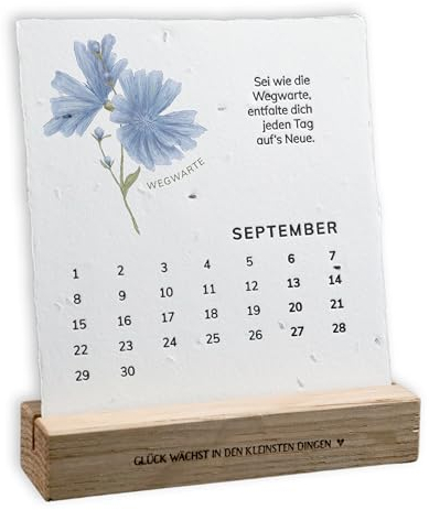 heylittlegreen Einpflanzbarer Tischkalender 2025 | aus handgemachtem Saatpapier | Samen-Kalender mit 13 Sorten zum Einpflanzen | nachhaltige Geschenkidee (Wunder zeigen sich in den kleinsten Dingen)