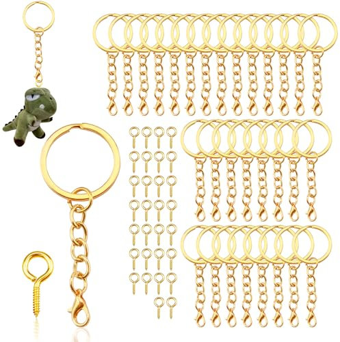 JINSIHU 30 Pièces Anneau Porte Clé Chainette Porte Clé Attache Porte Clés avec Chaîne 25 mm Attache Porte Clef Split Porte Clef Anneaux pour DIY Bricolage Bijoux Support Porte Clé Sacs Décor (Or)