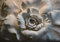 wandmotiv24 Photo murale Mur de plâtre sculpture de fleurs L 300 x 210 cm - 6 pièces photo, papier peint non tissé M4632