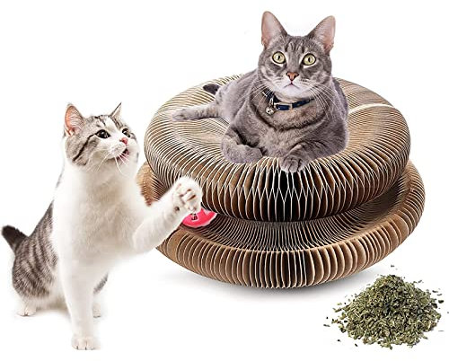 Kratzbrett for Katzen, magisches Orgel-Katzenkratzbrett, Akkordeon-Katzenkratzer, magisches Orgel-Katzenkratzbrett mit Spielzeugglockenball, dehnbares Katzen-Akkordeonspielzeug for Kätzchen- und Katze