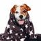 LaSyL Gewichtete Hundedecken,Premium-weicher Minky-Stoff,Entspannung & Beruhigung & Anti-Angst & Donner für Haustiere und Katzen,Verwendet im Auto, Bett, Couch, klein, 61 cm Lx81.3 cm B