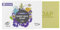 MY SOAP Schafmilchseife, Natural by accentra, handgefertigte Schafmilchseife MY SOAP in Papierschachtel, 100g, Motiv/Duft: Eisenkraut