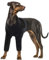 Leckschutz Hund Vorderbeine, Ellenbogenbandage Hund Vorderbein XXXL Erholungsanzug für Hunde nach Operation(Schwarz, 3XL)