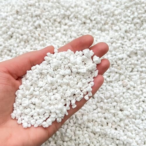Premium Horticultural Perlite 3-5mm Potting Compost, 1L, 2L, 5L, 10L (2L)