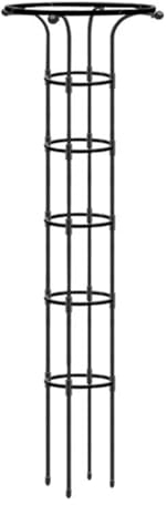 Obelisco de metal revestido de , resistente a la intemperie, para plantas trepadoras y rosas, 185 x 28 cm