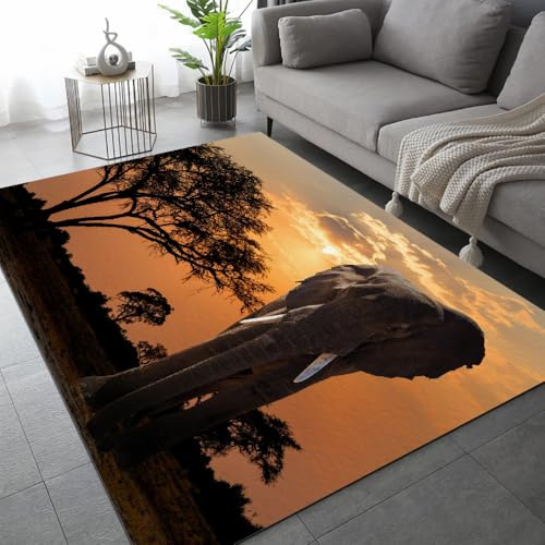 ARiXIaNg Elefant Teppich Kinderteppich Modern 3D Afrika Tiere Teppich Schlafzimmer rutschfeste FußMatte Kinder Teenager Kurzflor Teppiche FüR Flur Wohnzimmer Boden Teppich 140x200 cm