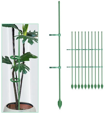 LicoShin 10pcs/30cm Plant Support Stakes, with 20pcs Height-adjustable Clips, 10pcs Anti-fallout floor plug Garden Sticks for Monstera deliciosa, Orchid, Amaryllis, Roses etc