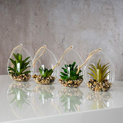 levandeo 4er Set Sukkulenten B x H 8,5x12,5cm Glas Kunstpflanze Grün Kunstblume Deko Tischdeko Wanddeko