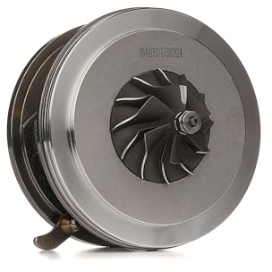 RIDEX 4973C0231 Rumpfgruppe Lader CHRA Kompatibel mit MERCEDES-BENZ A-Klasse W169 6400902480 640090248080 6400902780
